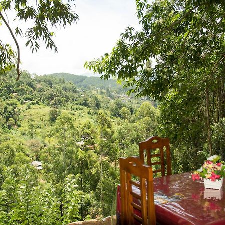 Rose Dale Homestay Ella Exteriör bild