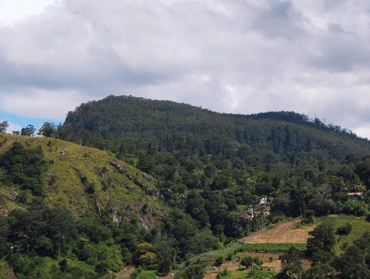 Rose Dale Homestay Ella Exteriör bild