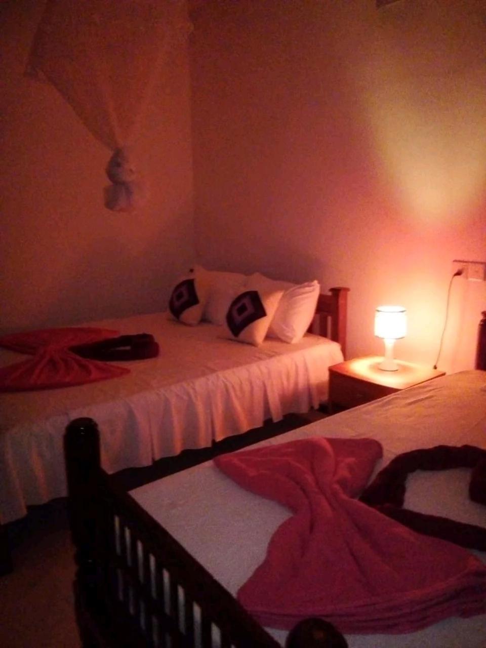 Rose Dale Homestay Ella Exteriör bild