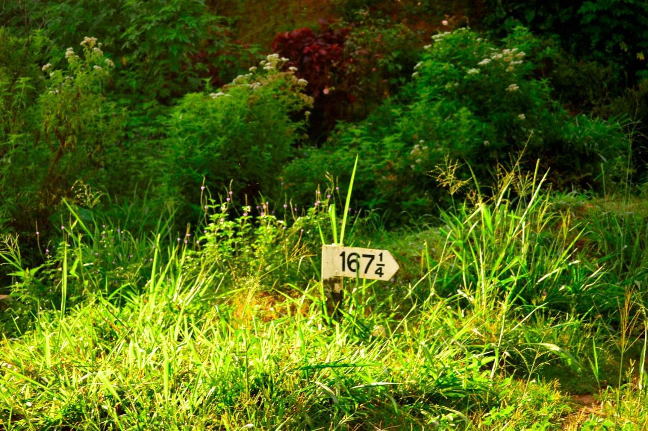 Rose Dale Homestay Ella Exteriör bild