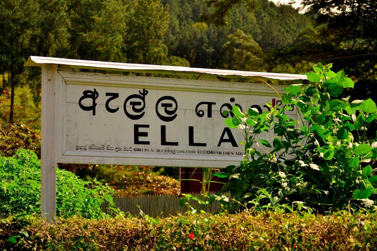 Rose Dale Homestay Ella Exteriör bild