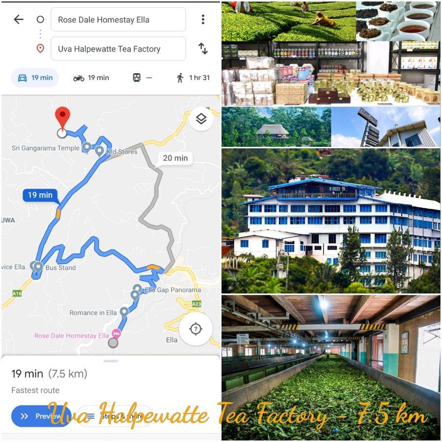 Rose Dale Homestay Ella Exteriör bild